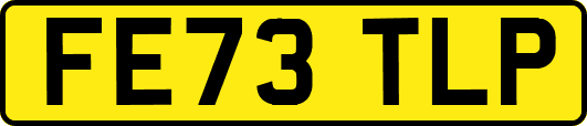 FE73TLP