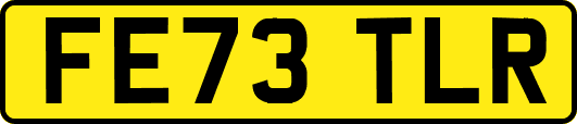FE73TLR