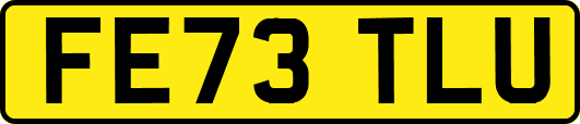 FE73TLU