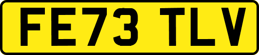 FE73TLV