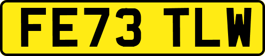 FE73TLW