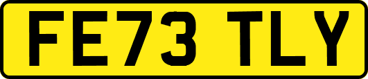 FE73TLY