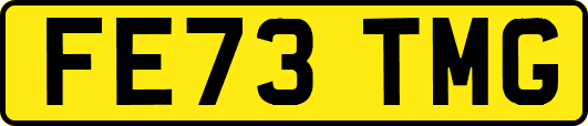 FE73TMG
