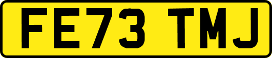 FE73TMJ
