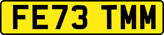 FE73TMM