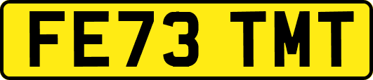 FE73TMT