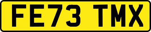 FE73TMX