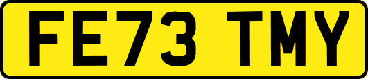FE73TMY