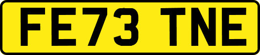 FE73TNE