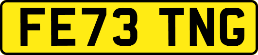 FE73TNG