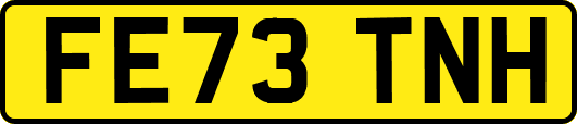 FE73TNH