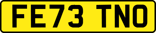 FE73TNO