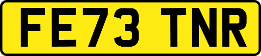 FE73TNR
