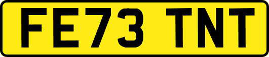FE73TNT