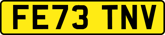 FE73TNV