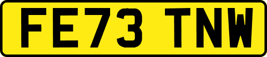FE73TNW