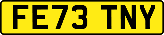 FE73TNY