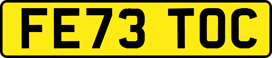FE73TOC