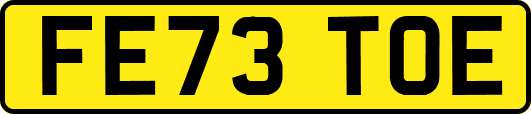 FE73TOE