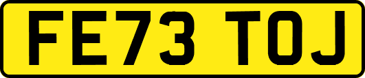 FE73TOJ