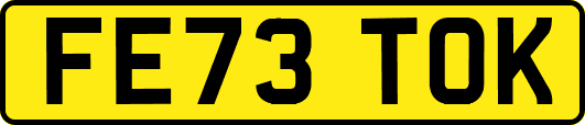 FE73TOK