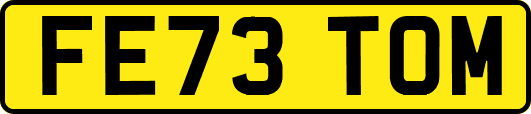 FE73TOM