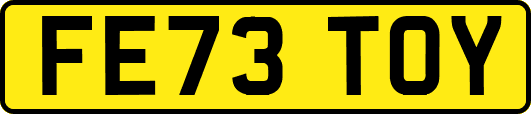 FE73TOY