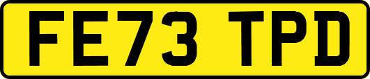 FE73TPD