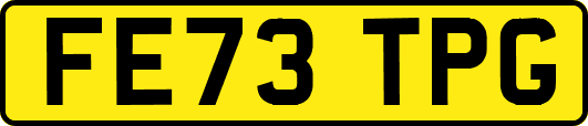 FE73TPG