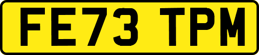 FE73TPM
