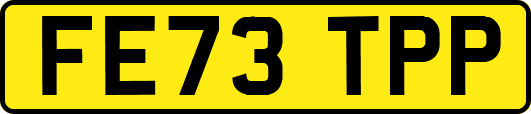 FE73TPP