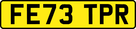 FE73TPR