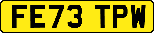 FE73TPW