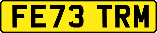 FE73TRM
