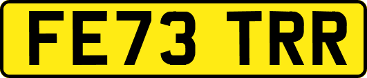 FE73TRR