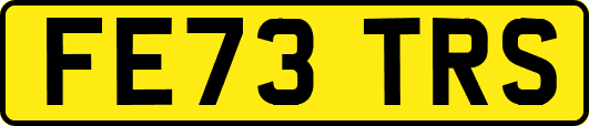 FE73TRS