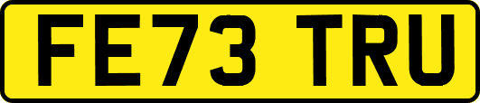 FE73TRU