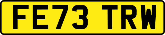FE73TRW