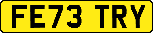 FE73TRY