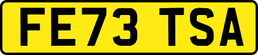 FE73TSA