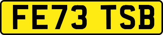 FE73TSB
