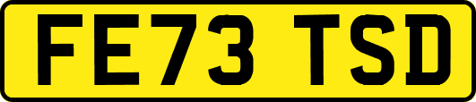 FE73TSD