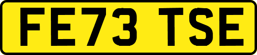 FE73TSE