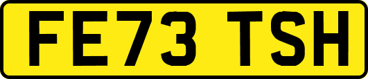FE73TSH