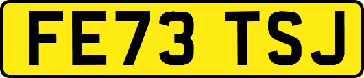 FE73TSJ