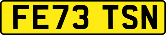 FE73TSN