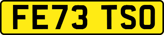FE73TSO
