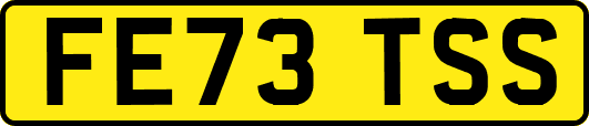 FE73TSS