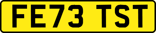 FE73TST