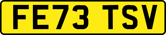 FE73TSV